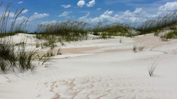 A sandy beach with dunes and sparse vegetation.