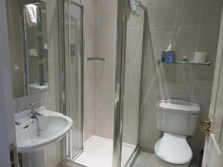 A modern bathroom with a glass-enclosed shower, a white sink, and a toilet.