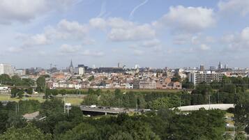 Stadsbeeld met een combinatie van historische en moderne gebouwen, een brug en een park met bomen.