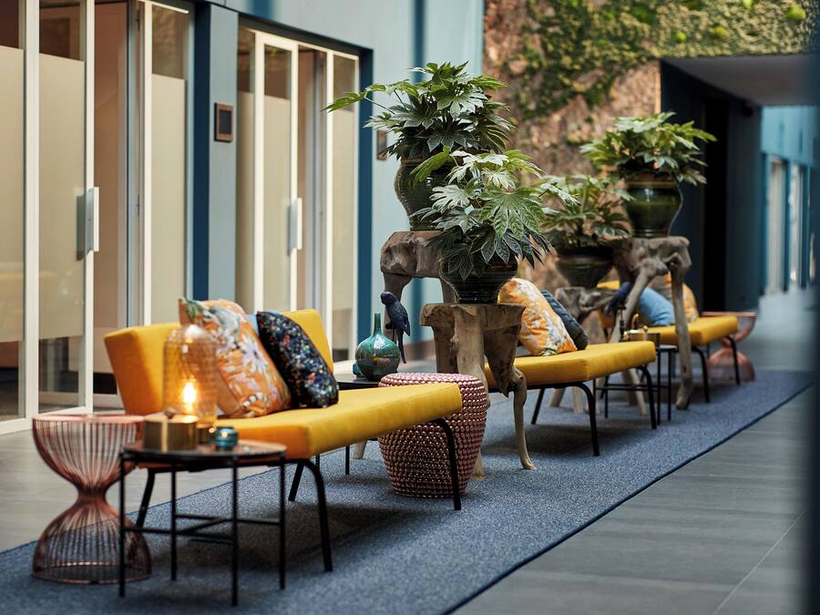 A modern indoor seating area with yellow sofas, patterned cushions, and a large potted plant.