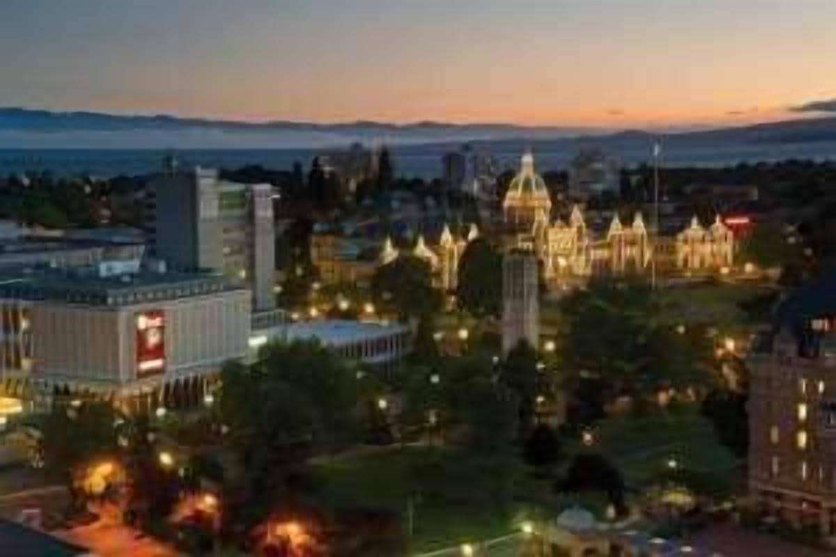 king, family suite, kitchenette | premium bedding, in-room safe, desk, laptop workspace