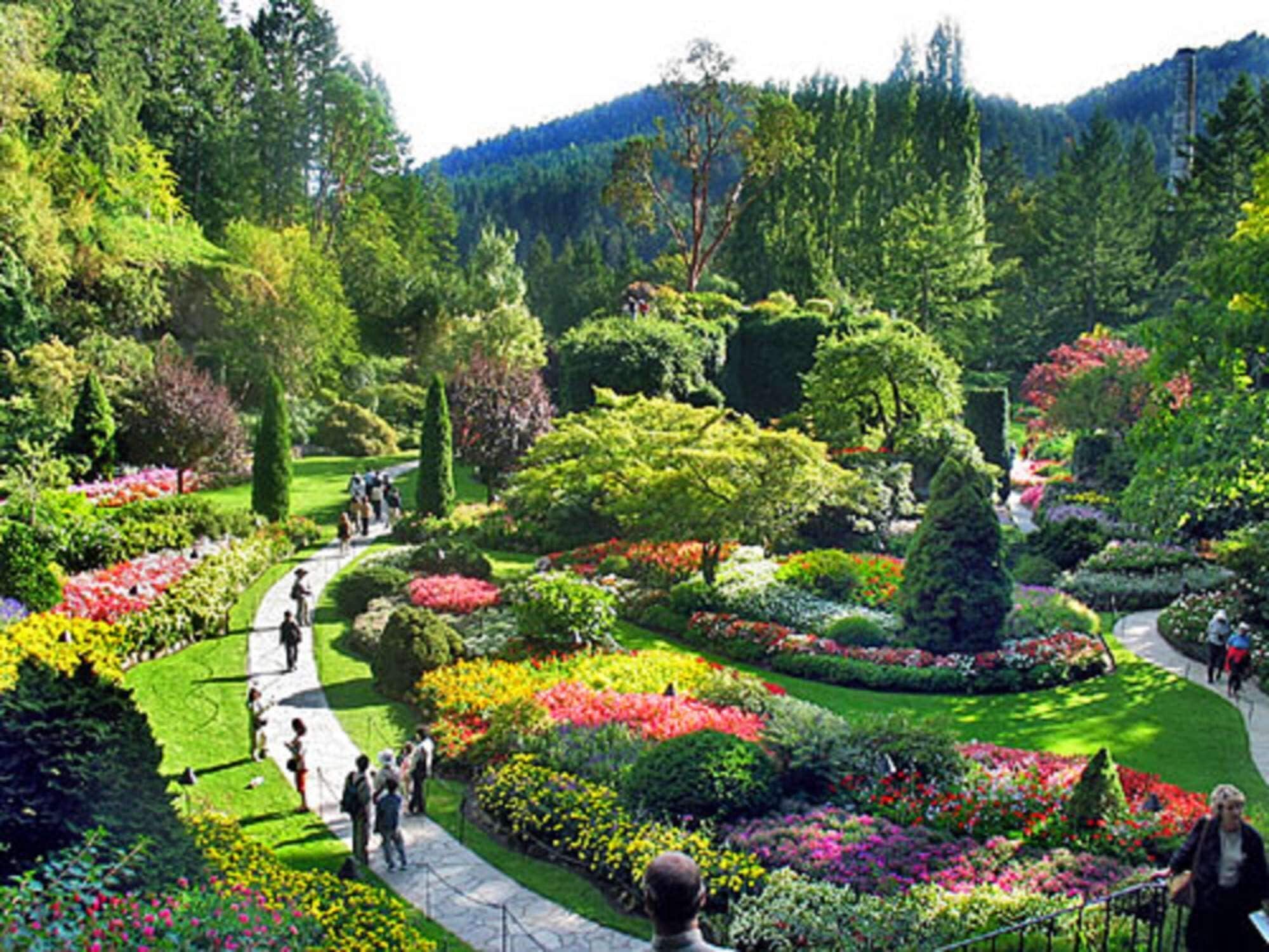 A lush garden with manicured lawns, diverse plantings, and a winding path.