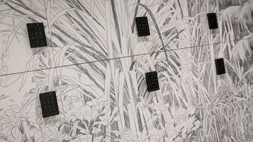 Un detallado dibujo en blanco y negro de una escena botánica con un enchufe y tres interruptores.