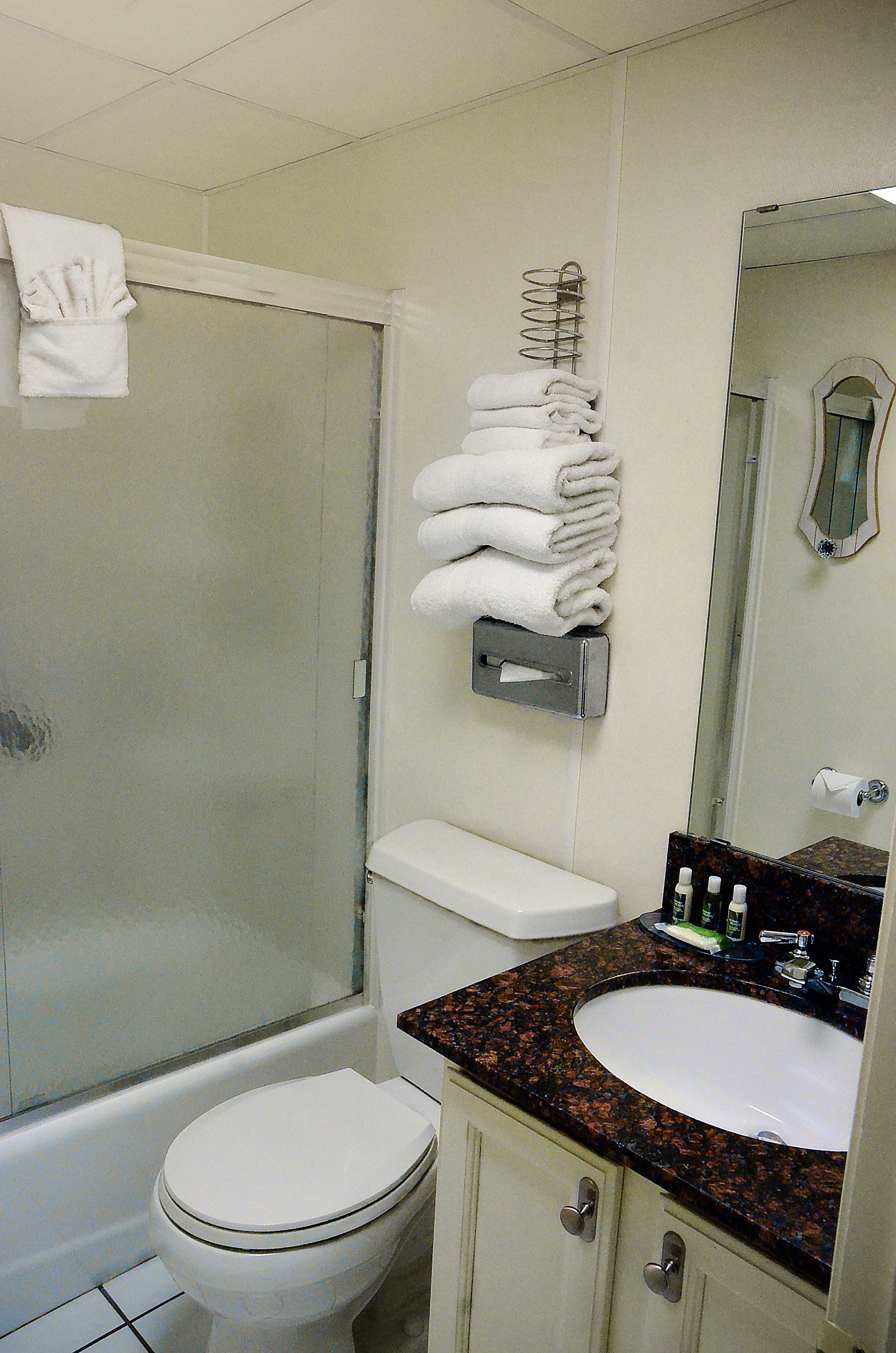 A bathroom with a toilet, sink, and shower.