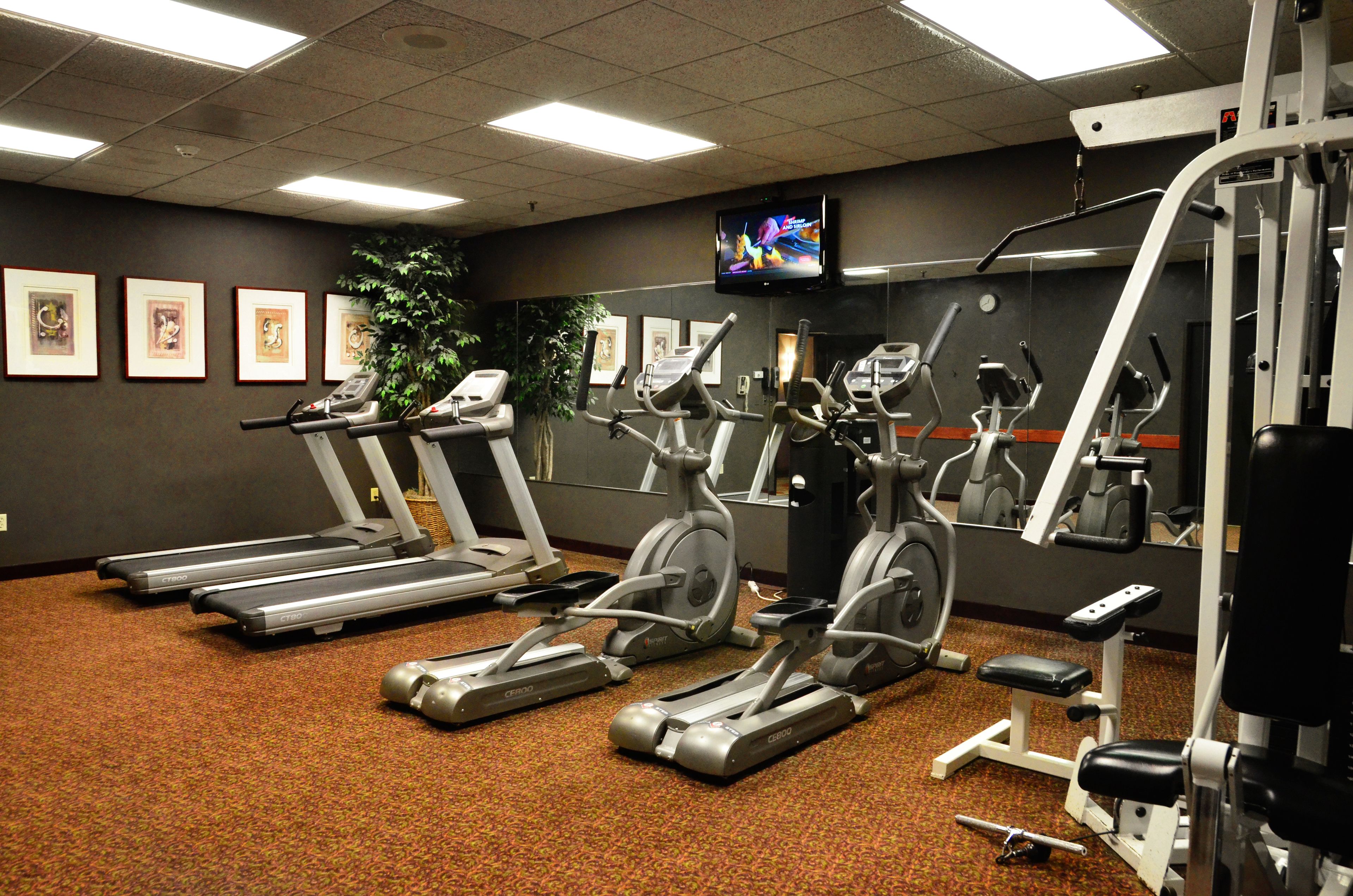 A gym with treadmills, elliptical machines, and weight equipment.