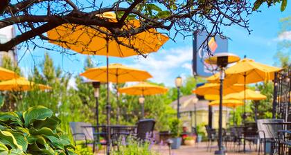 Centerstone Plaza Hotel Soldiers Field - Mayo Clinic Area