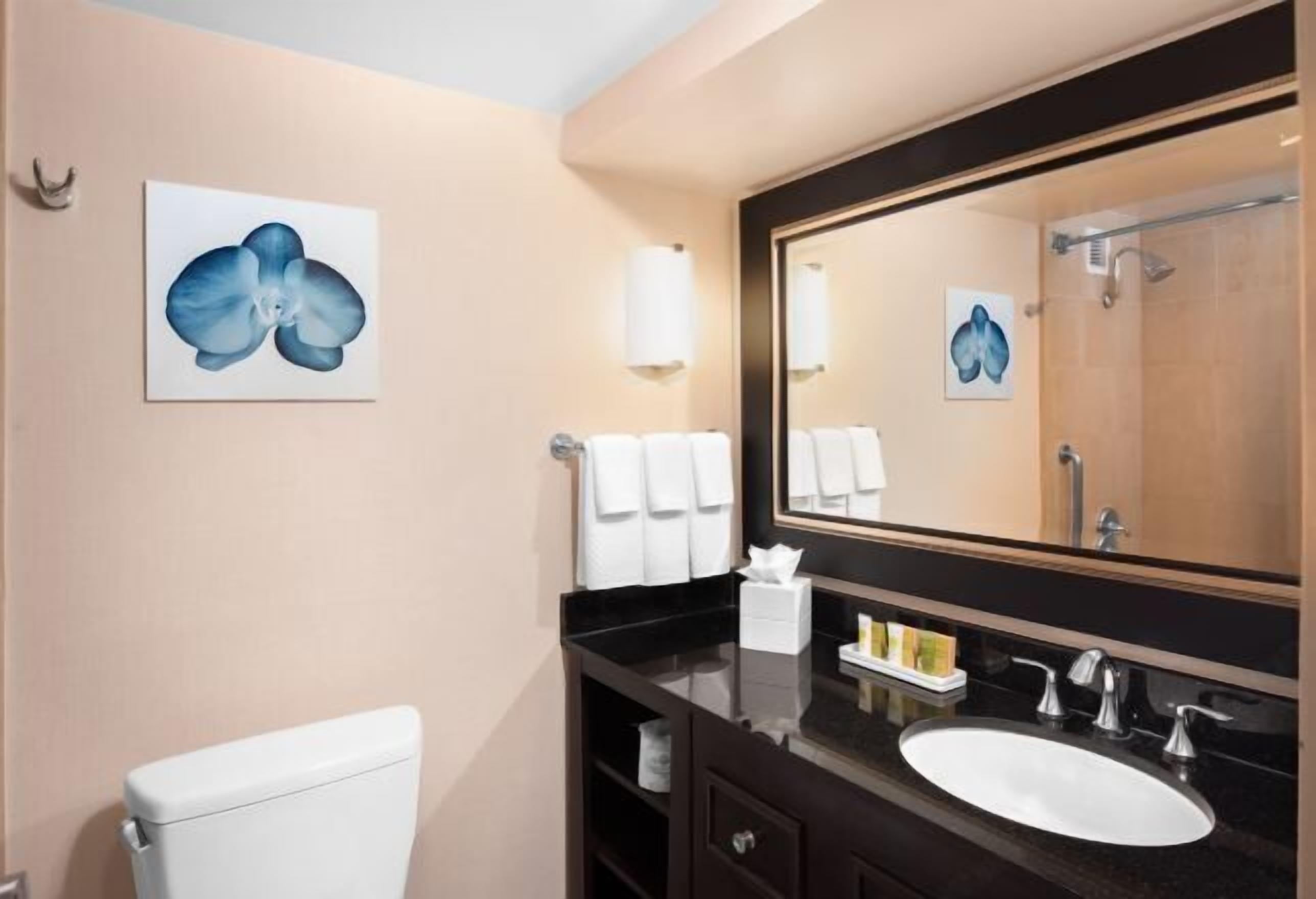 Designer toiletries, hair dryer, towels