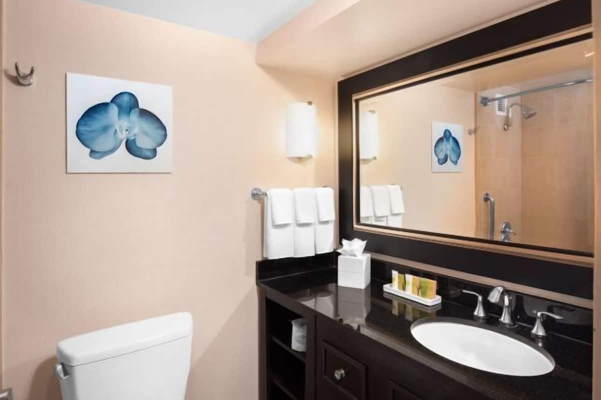 Designer toiletries, hair dryer, towels