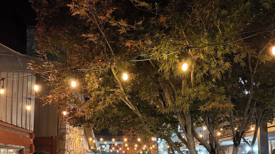 Great Smokies Inn Cherokee