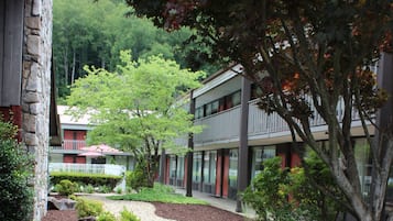 Stroll through lush gardens to a modern building with large windows and a flat roof.