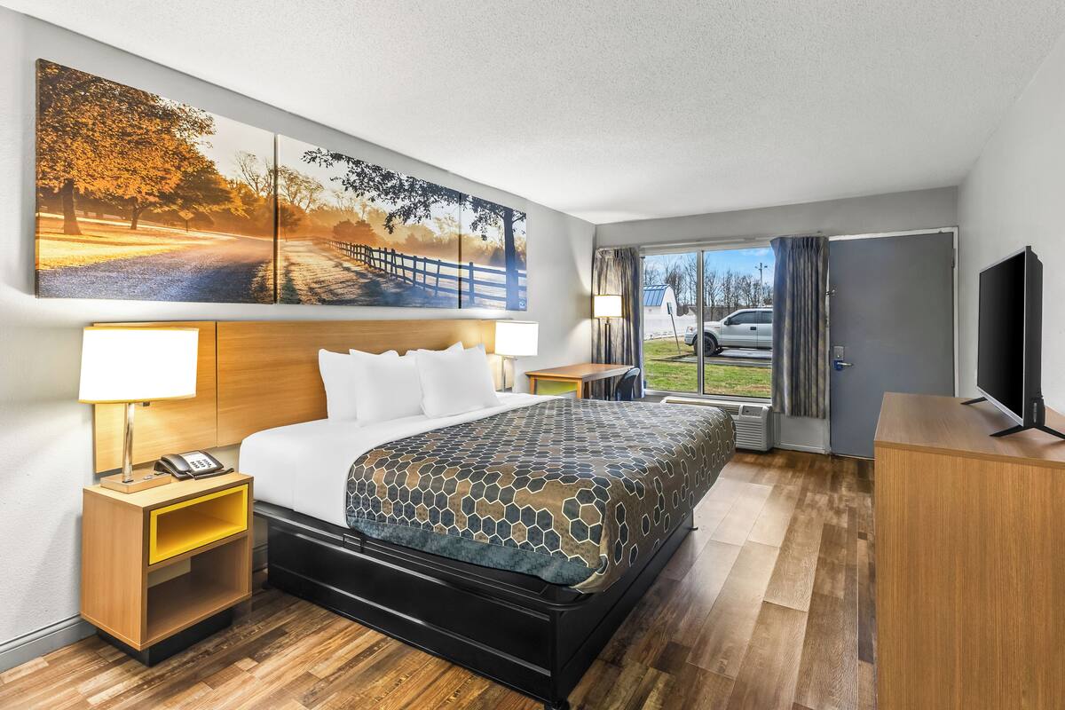 A hotel room with a large bed, a desk, a TV, and a view of a park.