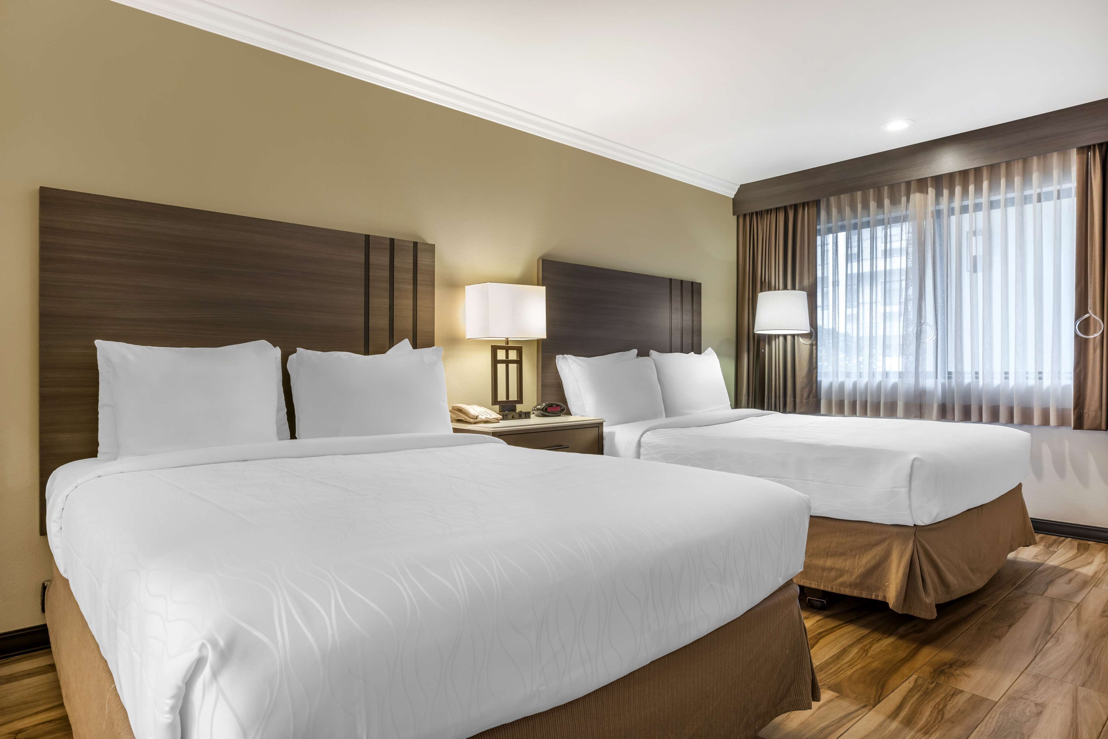 standard room, 2 queen beds, non smoking, microwave | desk, iron/ironing board, free cots/infant beds, free wifi