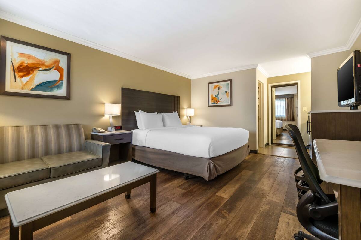 A hotel room with a bed, a sofa, a desk, and a TV.