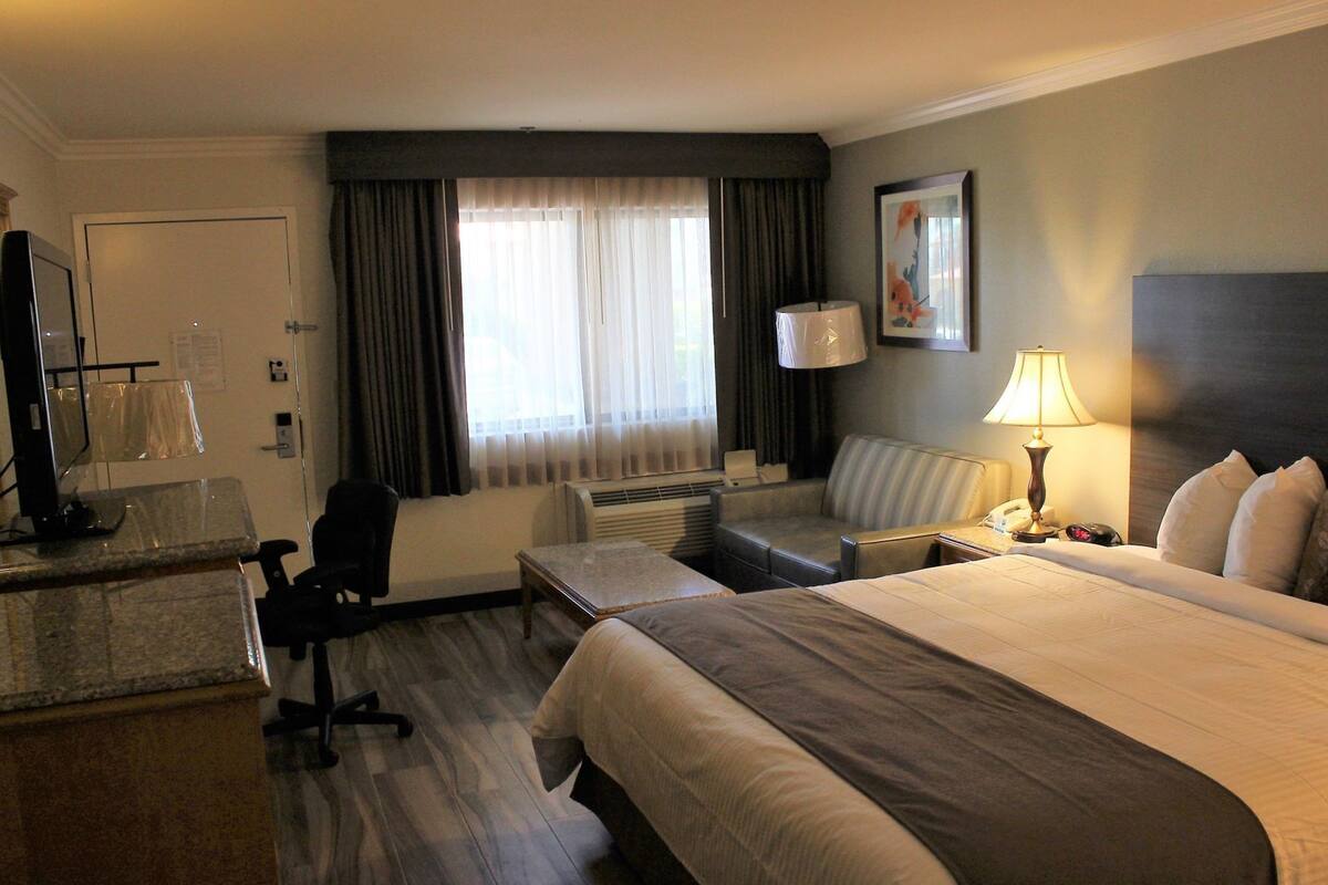 A hotel room with a bed, desk, chair, and a television.