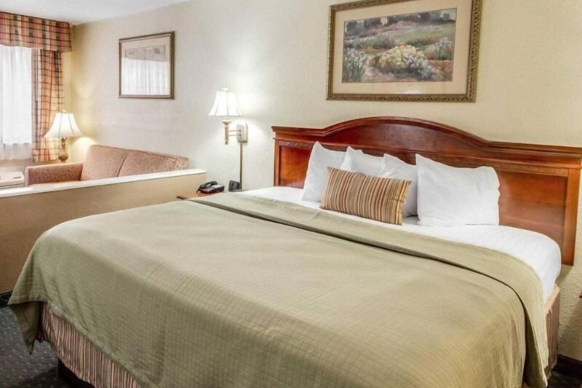 Sábanas de algodón egipcio y ropa de cama de alta calidad