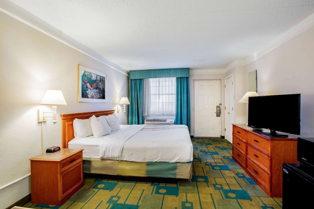 Une chambre d’hôtel avec un lit, une télévision, un bureau et un tableau au mur.