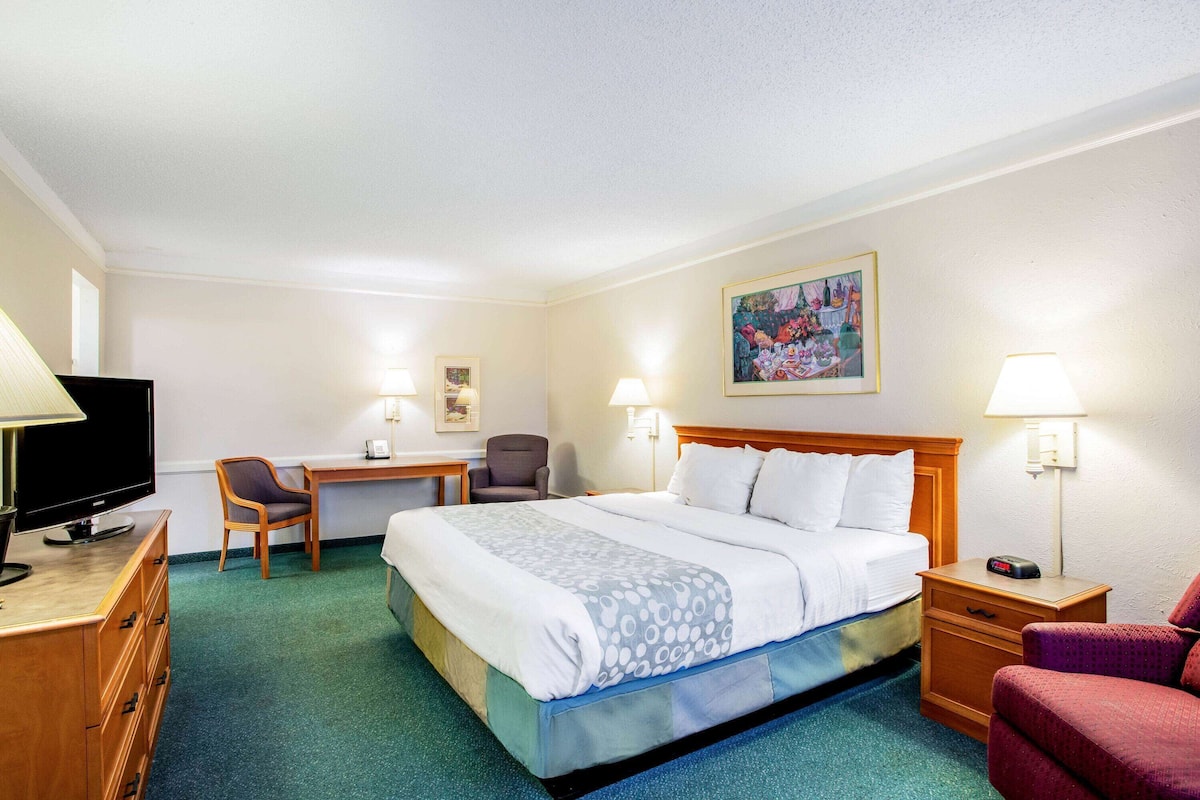 Une chambre d’hôtel avec un lit, un bureau, une chaise, une télévision et un tableau au mur.