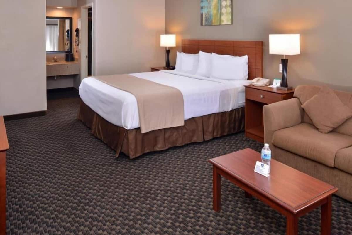A hotel room with a bed, a sofa, a desk, and a lamp.