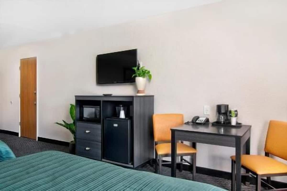 Een hotelkamer met een bed, een bureau met twee stoelen, een televisie, een koffiezetapparaat en een plant.