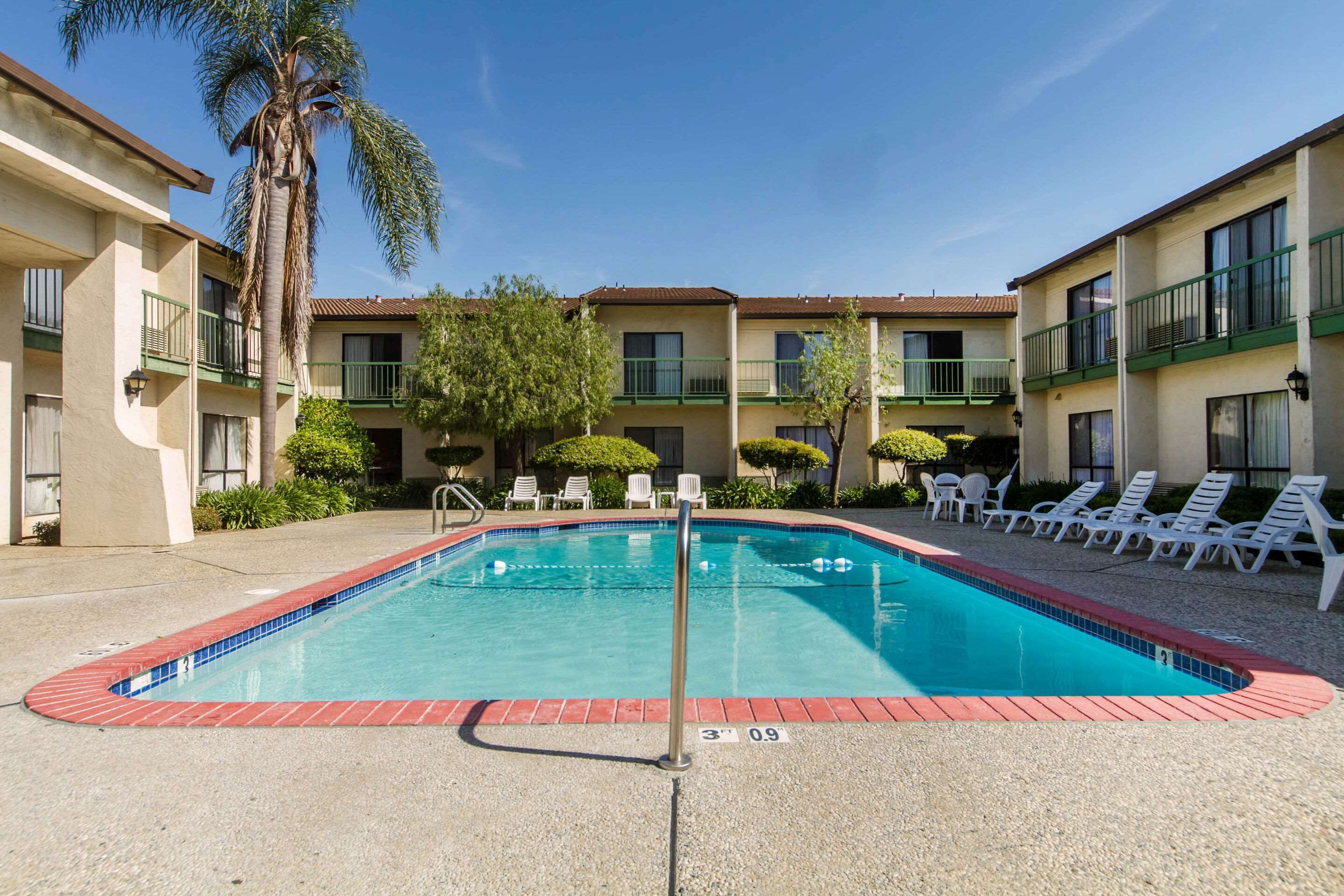 室外游泳池，池畔遮阳伞，日光浴躺椅