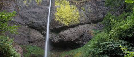 A waterfall cascading down a rocky cliff surrounded by lush greenery.