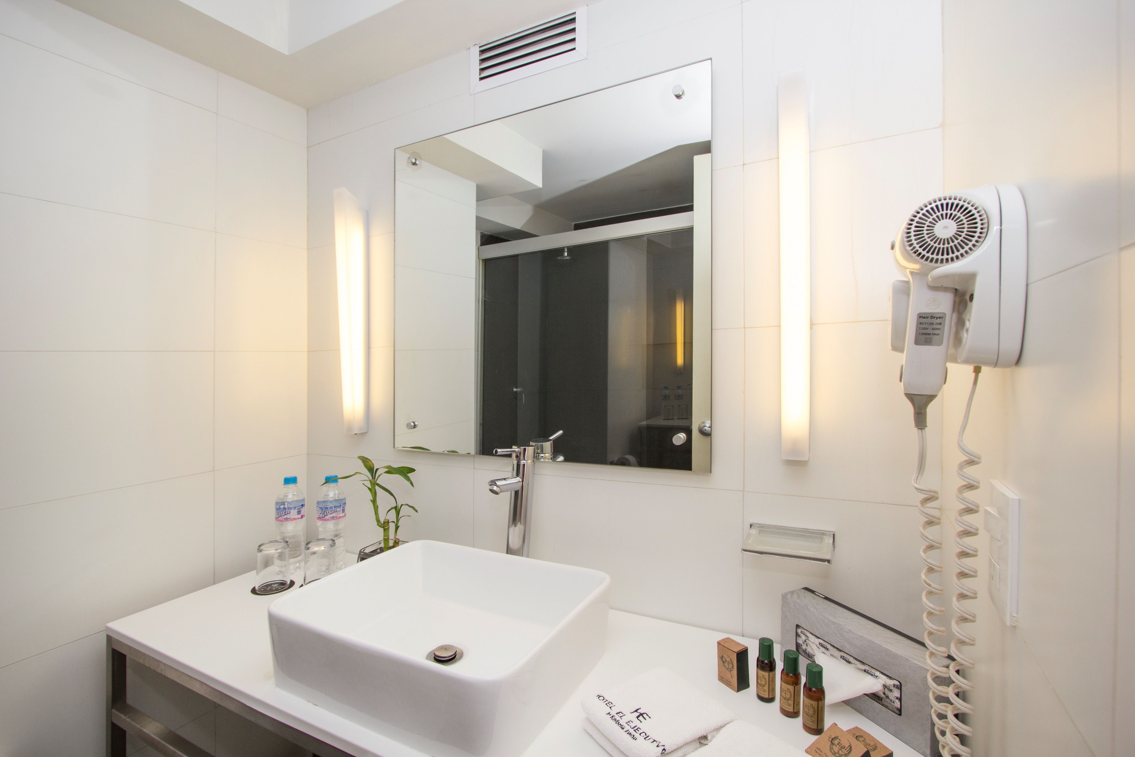 shower, rainfall showerhead, eco-friendly toiletries, hair dryer