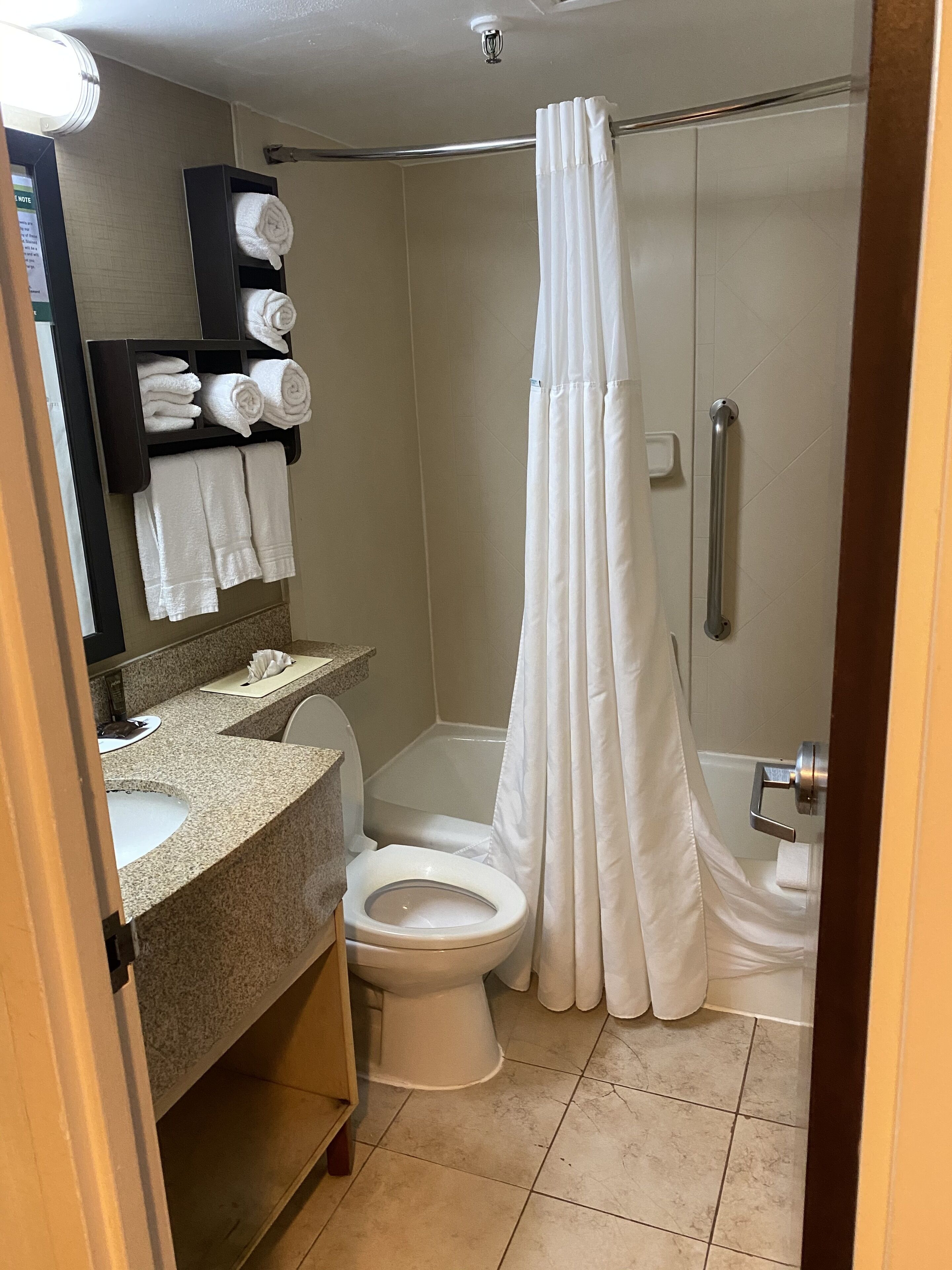 Combined shower/bathtub, eco-friendly toiletries, hair dryer, towels