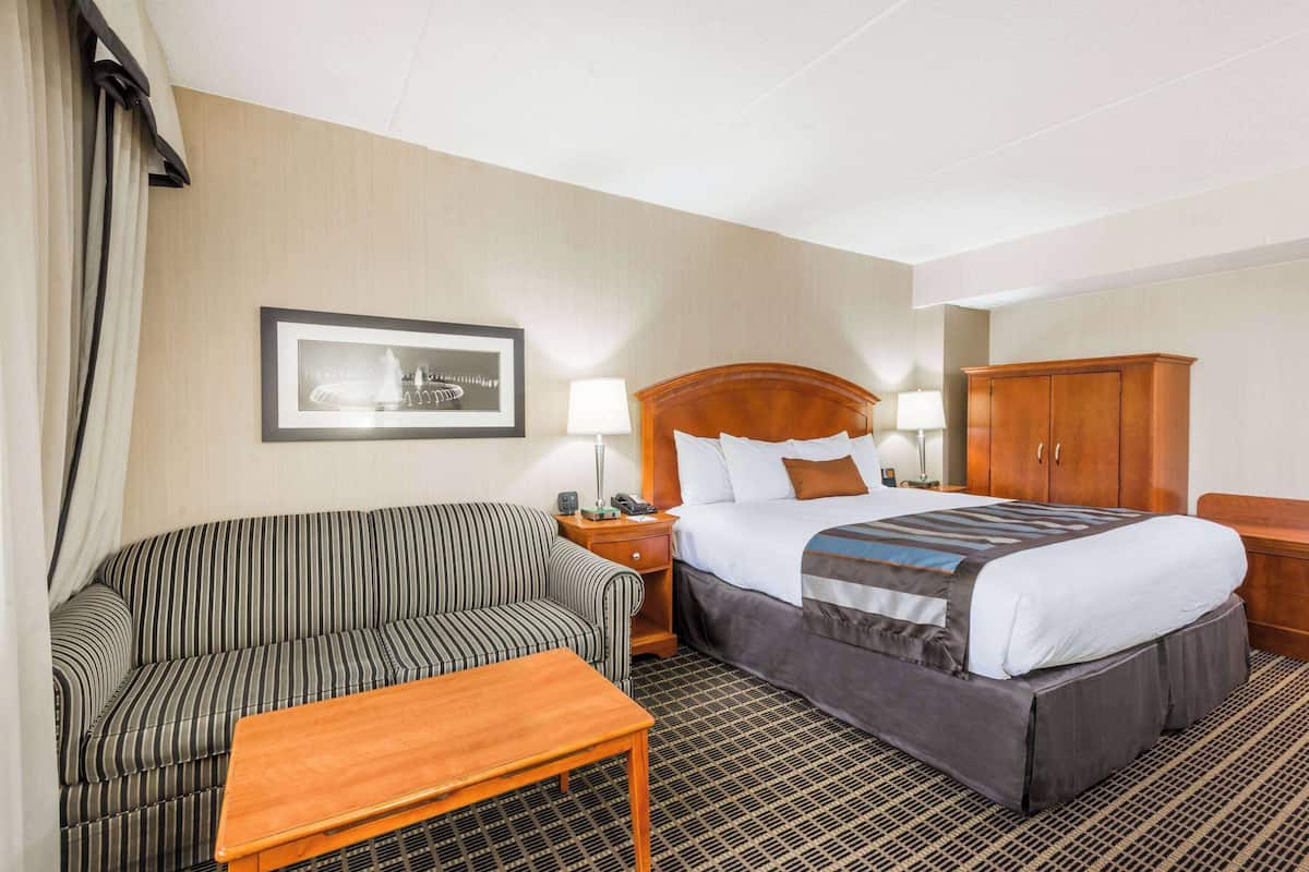 Chambre, 1 très grand lit, réfrigérateur | Couette en duvet d'oie, bureau