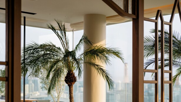 A modern lounge with a large palm tree, comfortable seating, and a view of the cityscape.