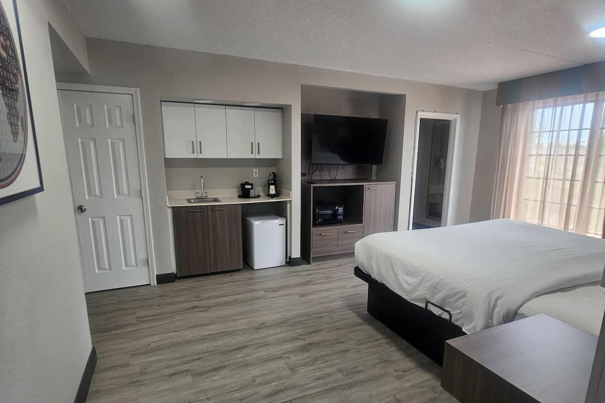 Een slaapkamer met een bed, een televisie, een kitchenette en een deur.