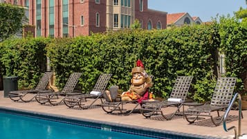 Una piscina al aire libre, sombrillas, sillones reclinables de piscina