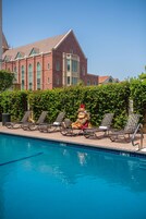 Outdoor pool, open 8:00 AM to 10:00 PM, pool umbrellas, sun loungers