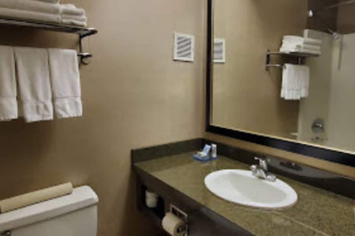 eco-friendly toiletries, hair dryer, towels