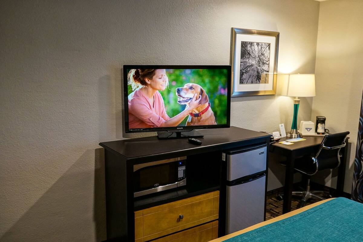 A hotel room with a television, a desk with a lamp, a framed picture on the wall, and a bed with a blue cover.