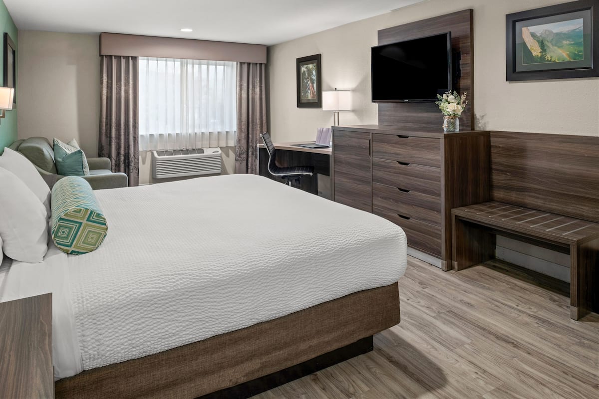 Suite, 1 King Bed with Sofa bed