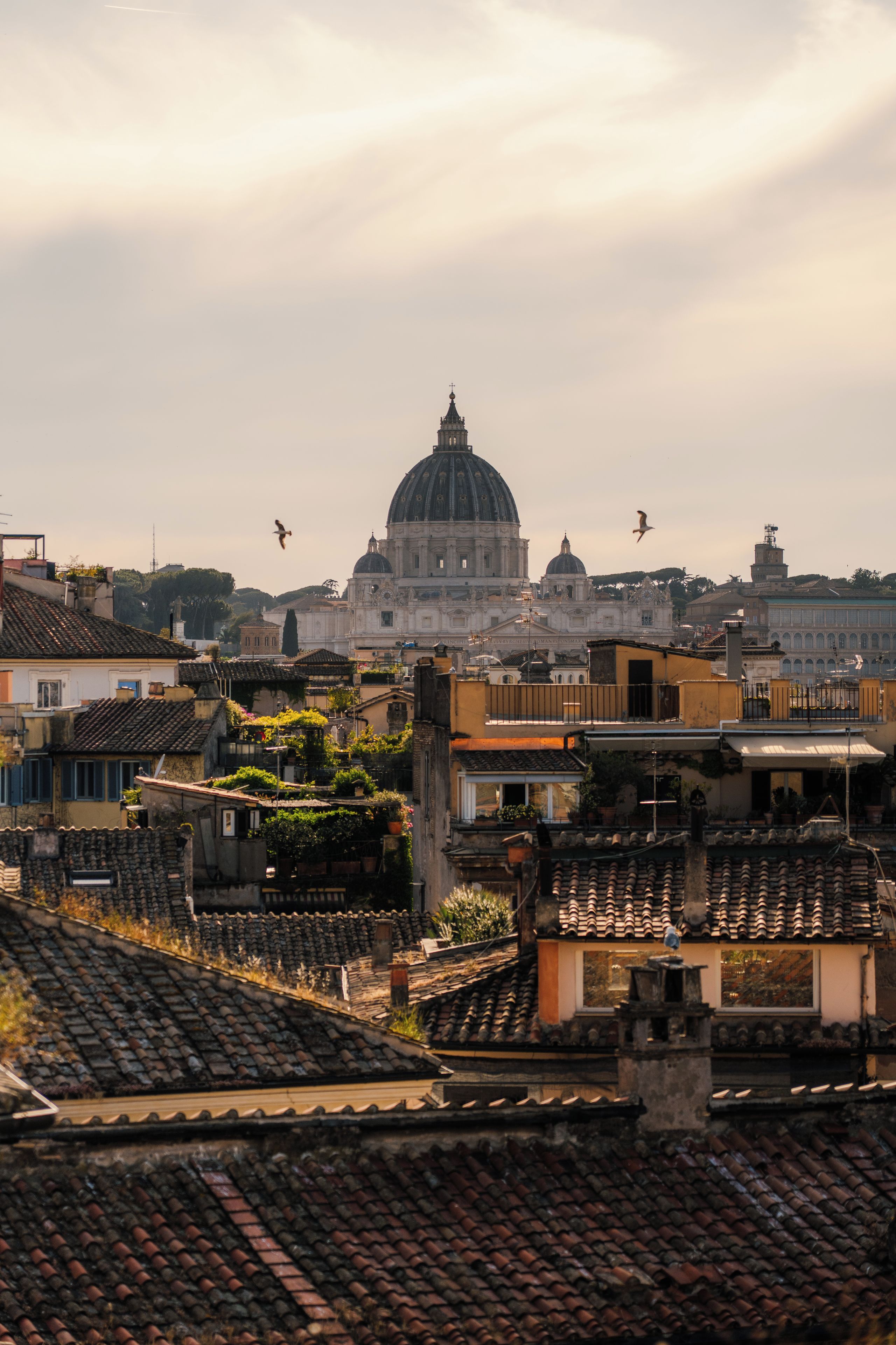 A cityscape with a prominent dome structure in the background, surrounded by residential buildings with terracotta roofs.