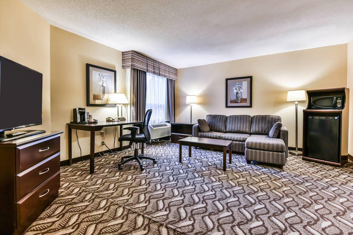 A hotel room with a sofa, a desk with a computer, a television, a microwave, and a patterned carpet.