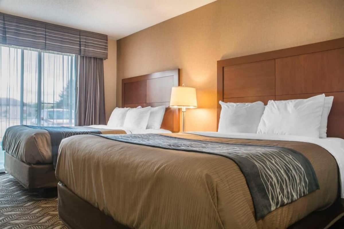 Premium bedding, pillowtop beds, individually furnished, desk