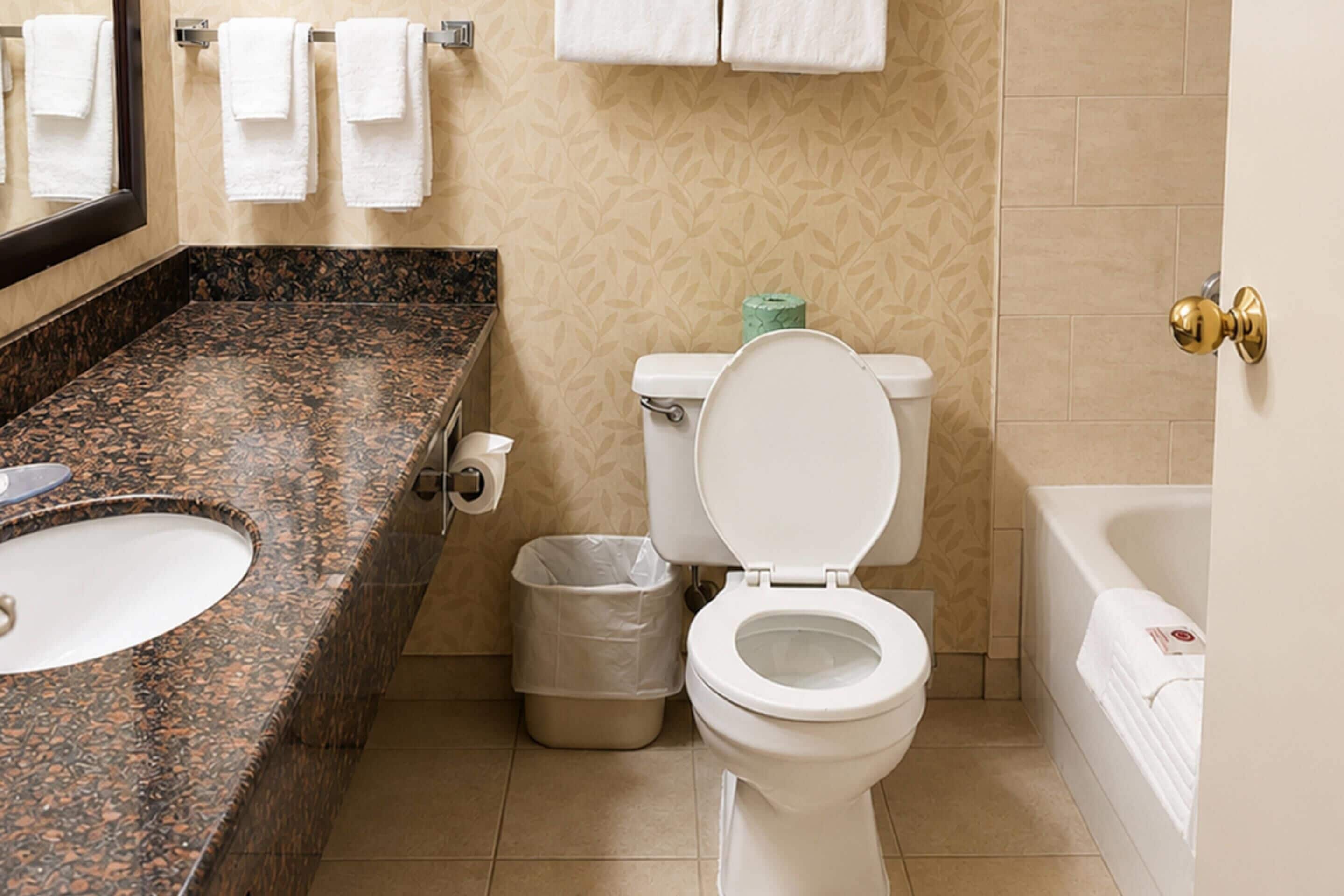 A bathroom with a marble sink, toilet, and bathtub.