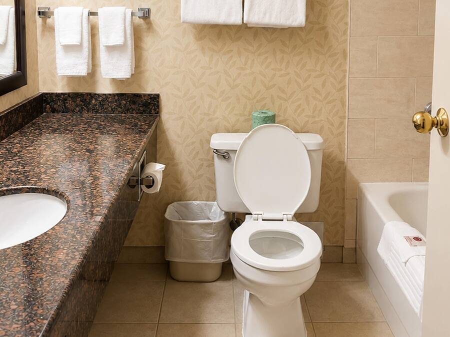 Une salle de bain avec un lavabo, des toilettes et une baignoire en marbre.