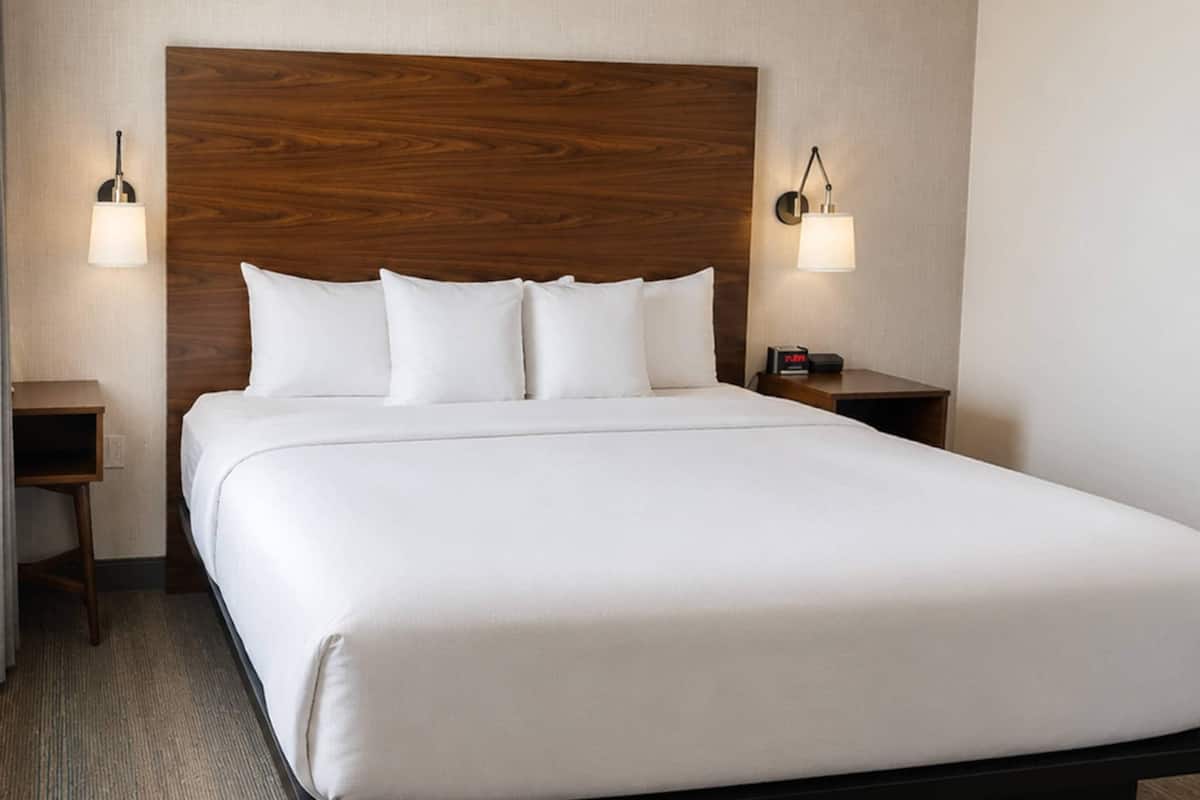 Suite, 1 King Bed with Sofa bed, Non Smoking
