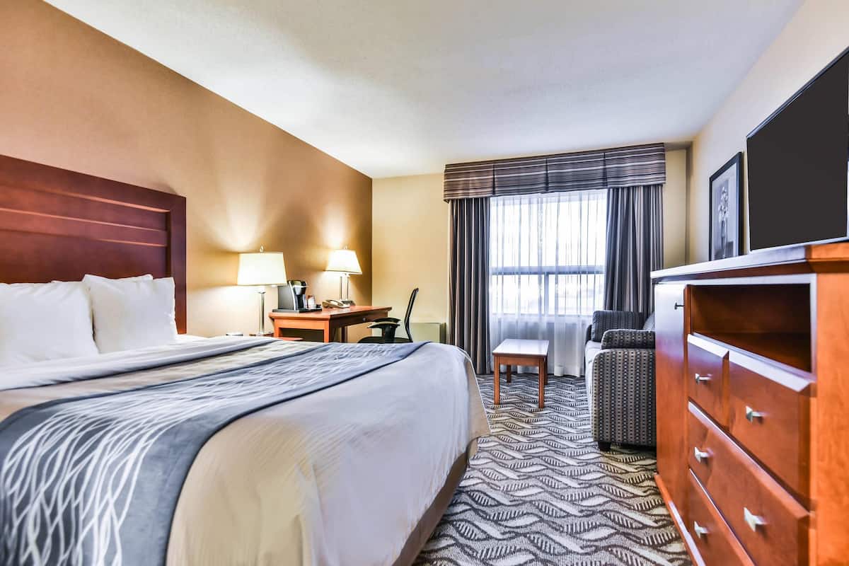 Premium bedding, pillow-top beds, individually furnished, desk