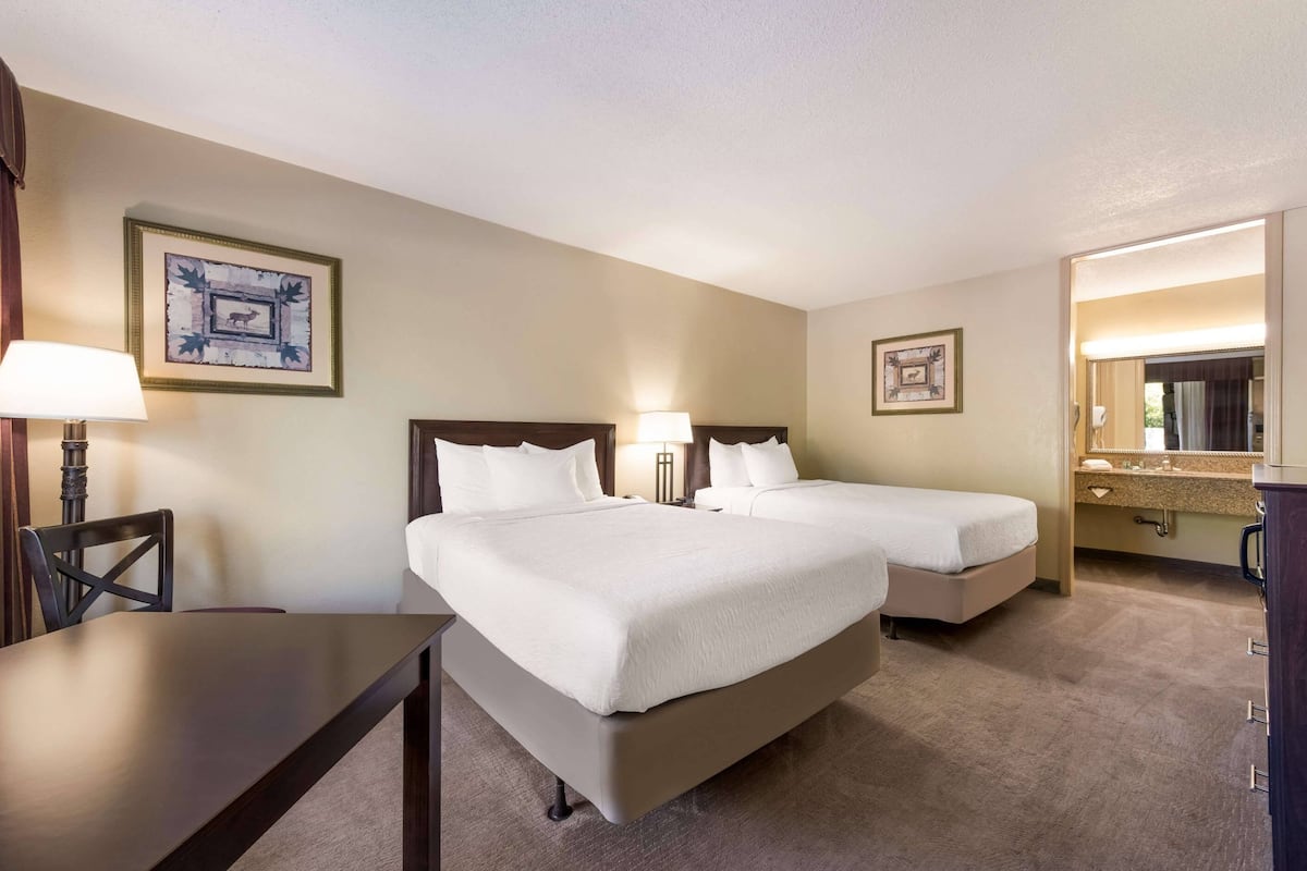 standard double room | 1 bedroom, pillow-top beds, in-room safe, laptop workspace