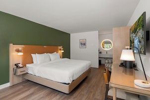 Habitación de hotel con cama, lámparas de noche, escritorio con lámpara, espejo y un cuadro en la pared.