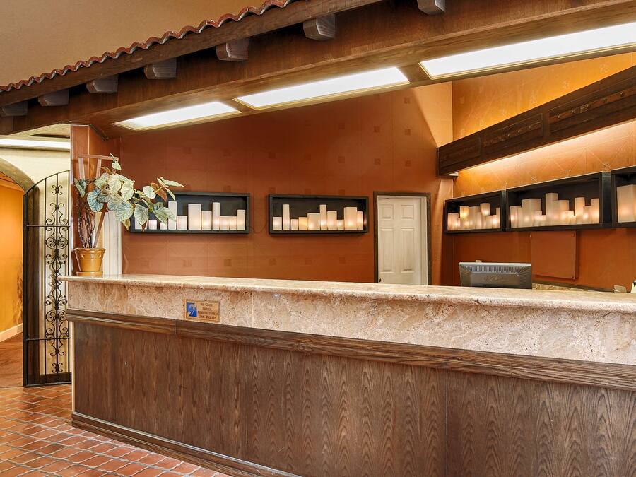A reception area with a marble counter, wall-mounted candle displays, and a potted plant.