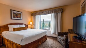 A hotel room with a large bed, a television, a chair, and a window with a view of trees and hills. - Best Western El Grande Inn (Clearlake)
