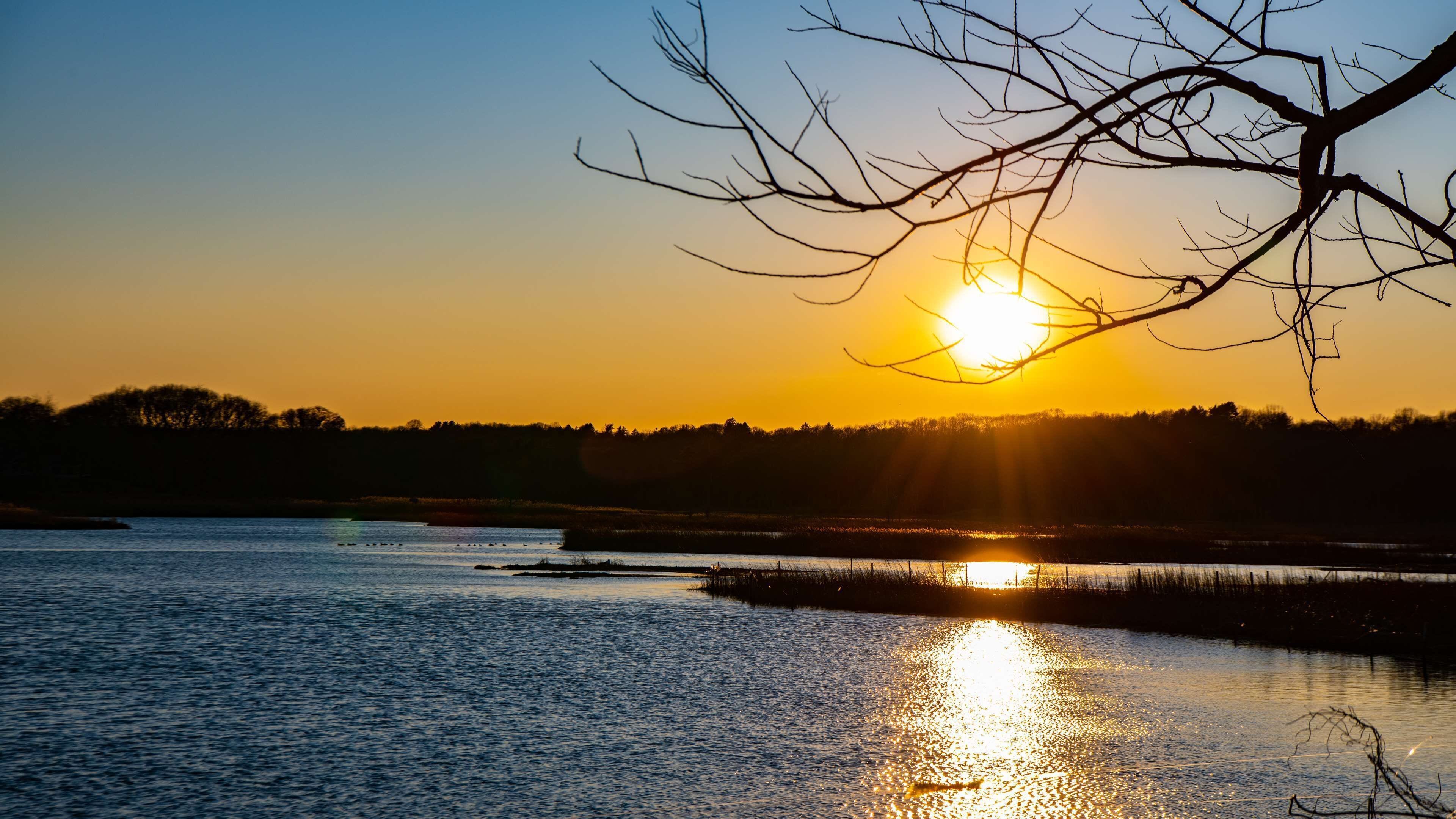 Foto - Hyatt Regency Long Island