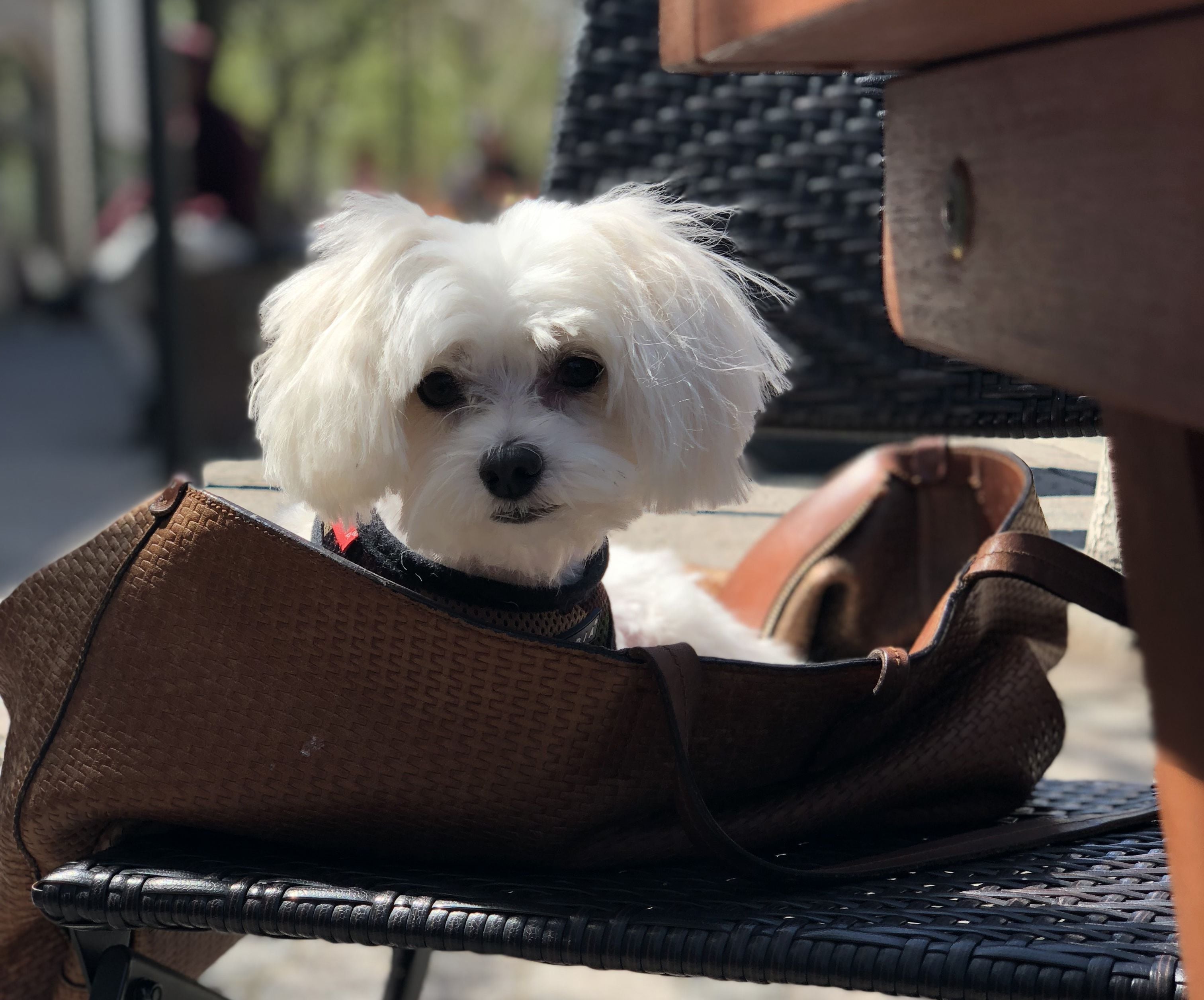 Photo - The Empire Hotel New York