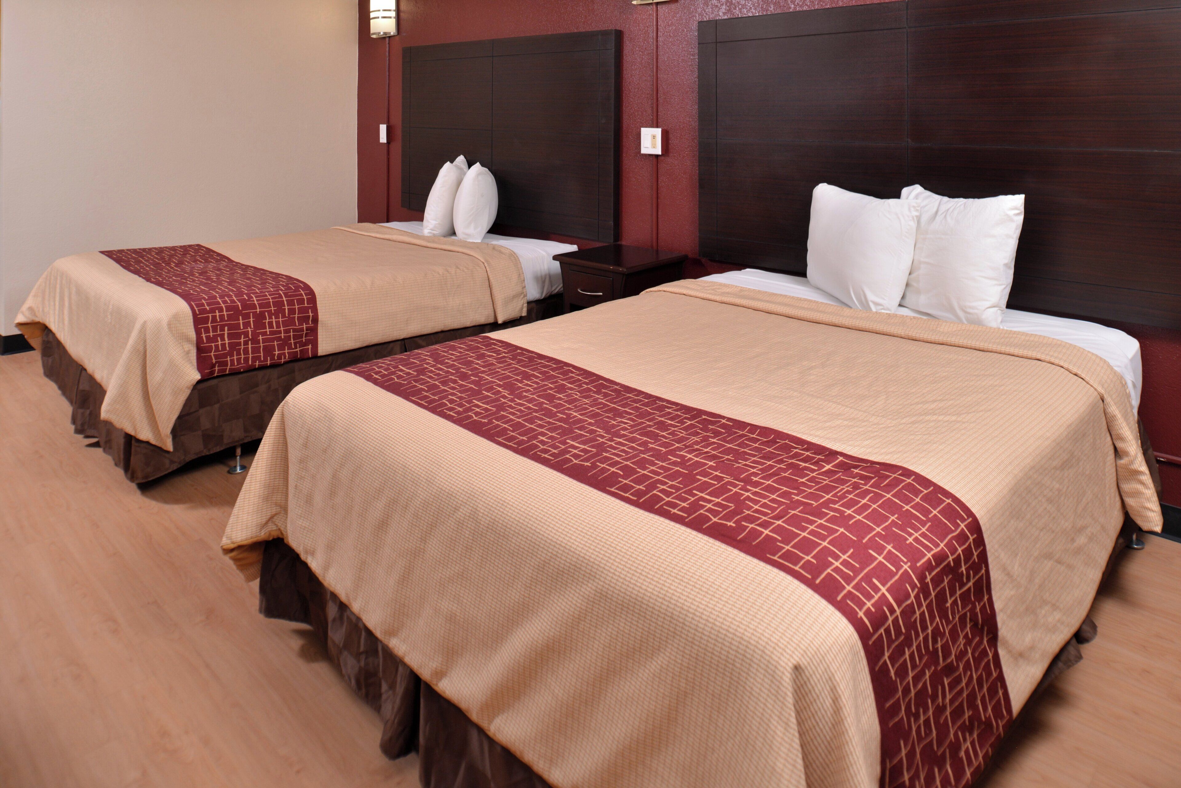 Two single beds with headboards, a bedside table, and a lamp.