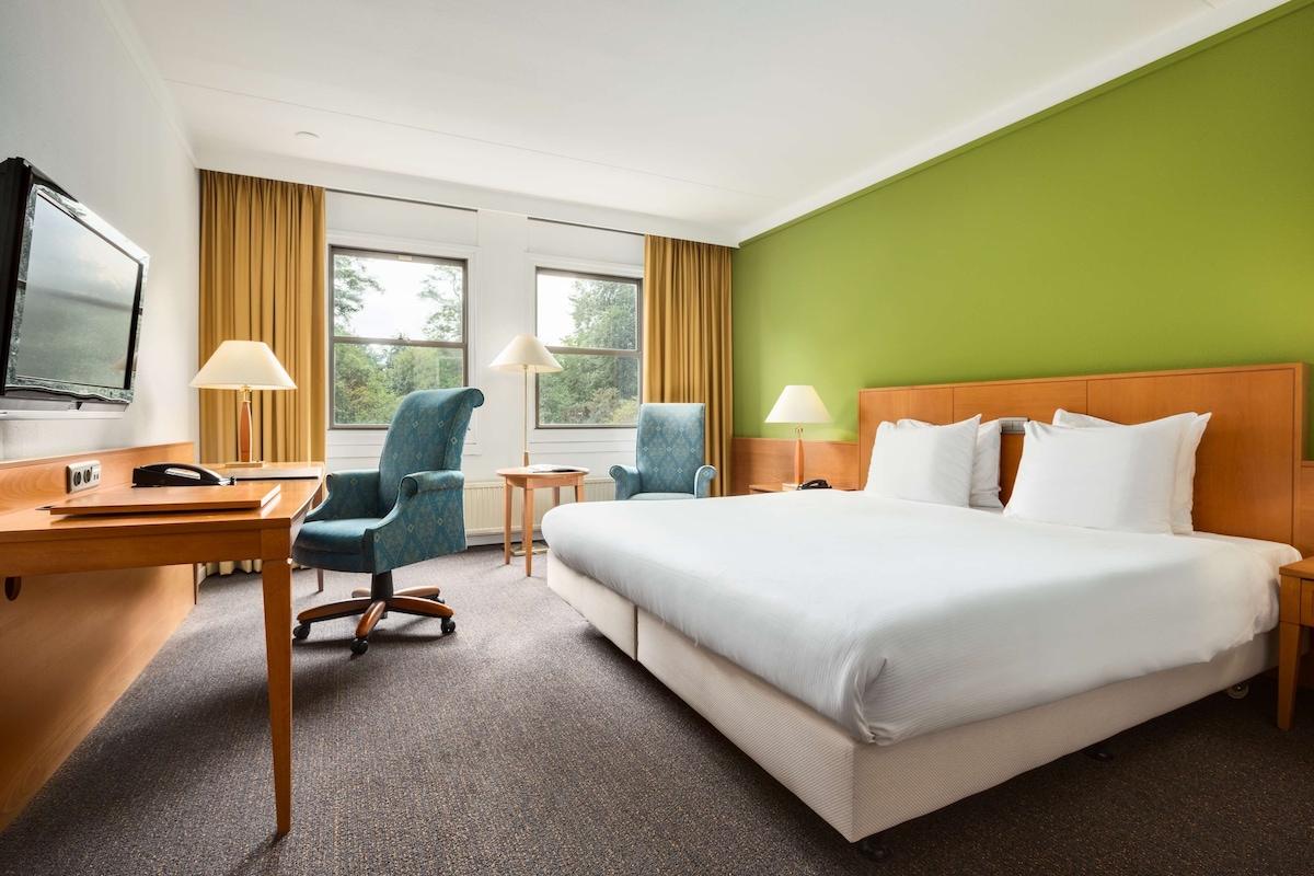A hotel room with a bed, two chairs, a desk, a TV, and a window with curtains.